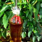 Olio al peperoncino