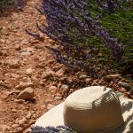 Cappello campo di lavanda Provenza