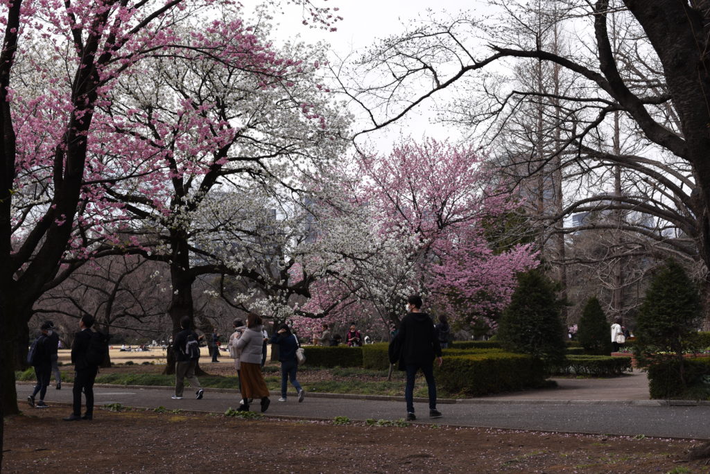 Shinjuku_Gyoen_Parco