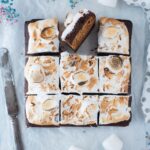 s'mores brownies with graham crackers crust
